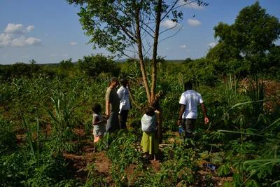 DSC_5188 (Large).JPG